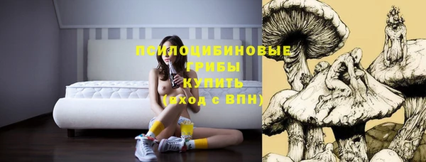 крисы Алзамай